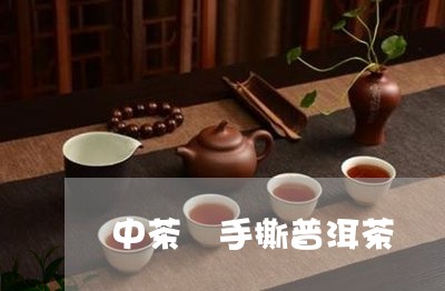 中茶 手撕普洱茶/2023031616148